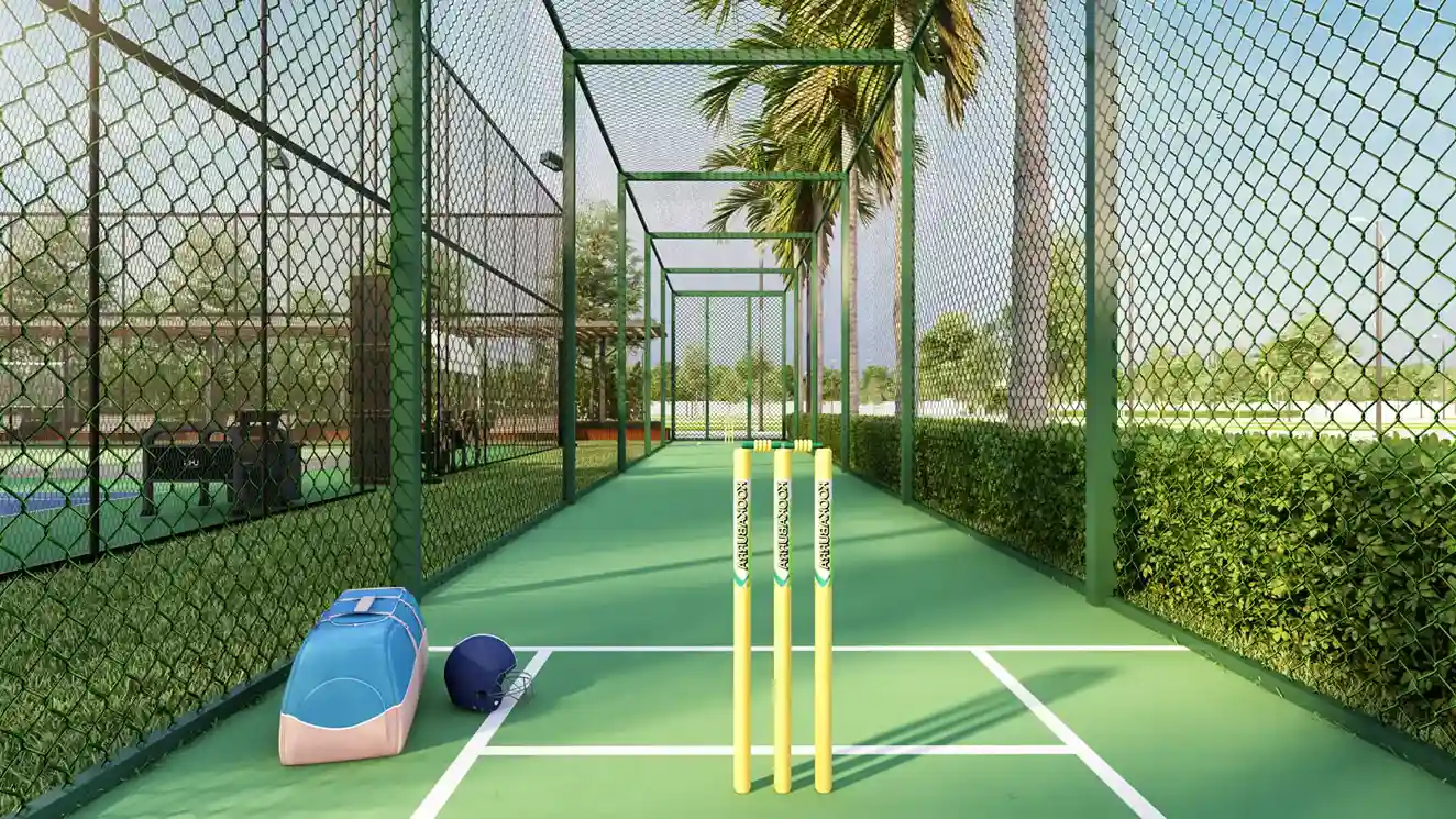 Cricket pitch