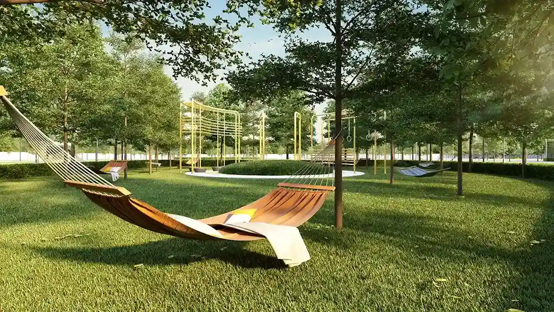 Hammock zone