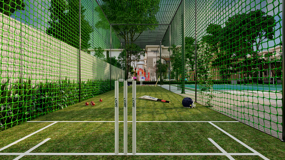 Cricket pitch