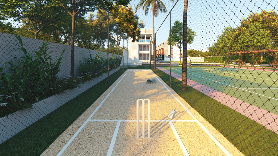 Cricket pitch