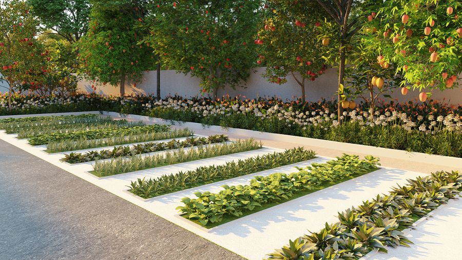 Herb garden