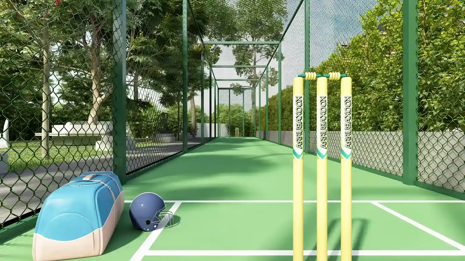 Cricket pitch